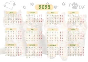 Jahres - Kalender 2023 Katzen 1 Vorschau