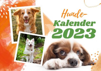 Monats- Kalender 2023 Hunde Vorschau-Video