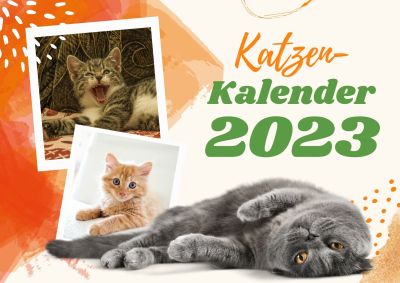 Monatskalender 2023 Katzen Vorschau